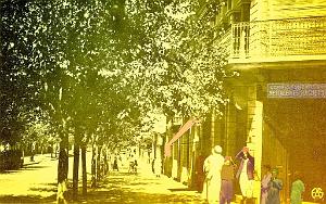 SAIDA 521  AVENUE GAMBETTA